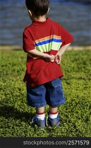 Rear view of a boy standing on a lawn