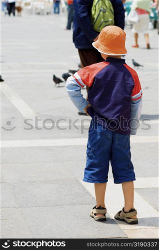Rear view of a boy standing, Venice, Veneto, Italy