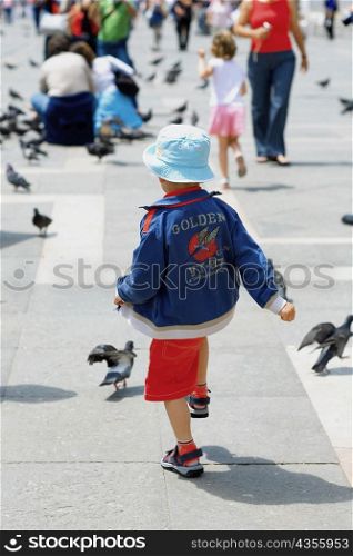 Rear view of a boy walking towards pigeons, Venice, Veneto, Italy