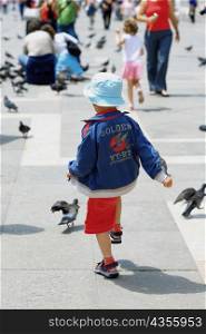 Rear view of a boy walking towards pigeons, Venice, Veneto, Italy