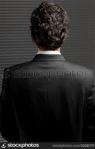 Rear view of a businessman standing