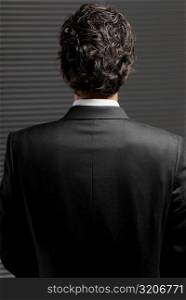 Rear view of a businessman standing
