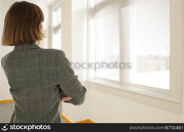 Rear view of a businesswoman looking through a window