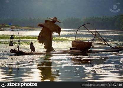 Rear view of a fisherman fishing in a river, XingPing, Yangshuo, Guangxi Province, China