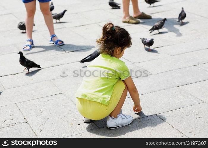 Rear view of a girl crouching beside pigeons, Venice, Veneto, Italy