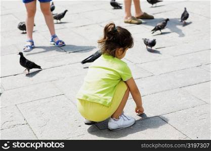 Rear view of a girl crouching beside pigeons, Venice, Veneto, Italy