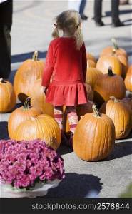 Rear view of a girl standing with a heap of pumpkins