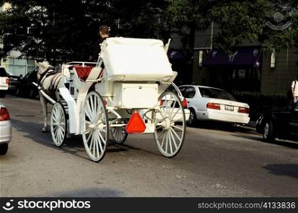 Rear view of a horse carriage in the street, Chicago, Illinois, USA
