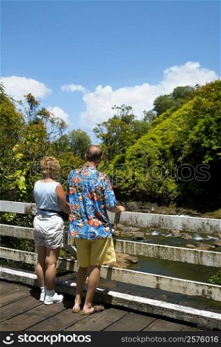 Rear view of a man and a woman looking at a view, Onemea Bay, Big Island, Hawaii Islands, USA