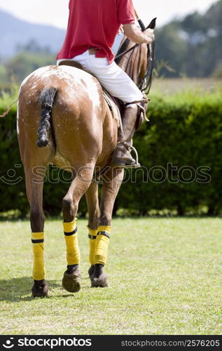 Rear view of a man playing polo