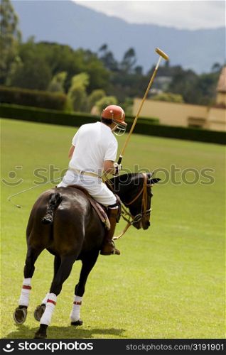 Rear view of a man playing polo