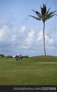 Rear view of a man pushing a golf cart in a golf course, Kauai, Hawaii Islands, USA