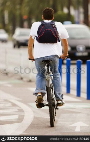 Rear view of a man riding a bicycle, Promenade des Anglais, Nice, Provence-Alpes-Cote D&acute;Azur, France