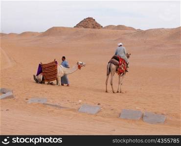 Rear view of a man riding a camel