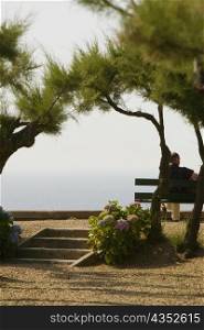 Rear view of a man sitting on a bench in a garden, St. Martin, Biarritz, France