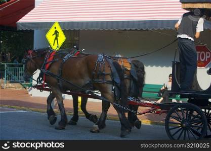 Rear view of a man standing on a horse cart, Savannah, Georgia, USA
