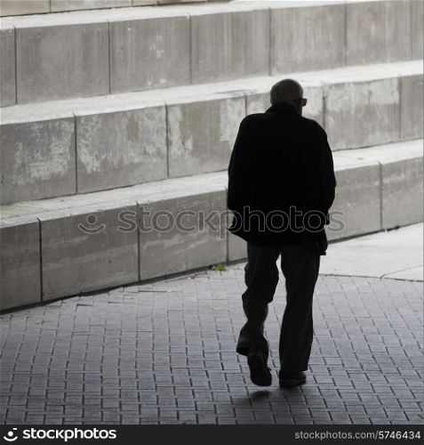 Rear view of a man walking, Parliament Hill, Ottawa, Ontario, Canada