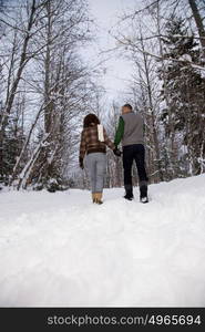 Rear view of a mature couple walking through snow