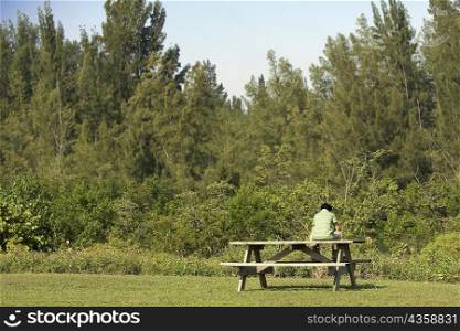 Rear view of a mature man sitting on a bench