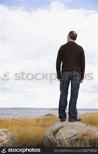 Rear view of a mature man standing on a rock