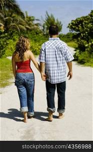 Rear view of a mid adult man and a young woman walking and holding hands in a park