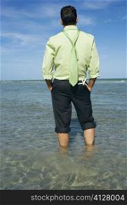 Rear view of a mid adult man standing on the beach with his hands in his pockets