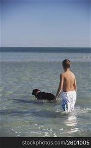 Rear view of a teenage boy and a dog walking in the sea