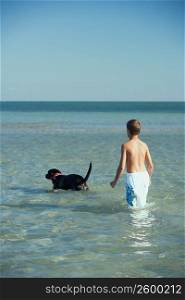 Rear view of a teenage boy standing in water with a dog