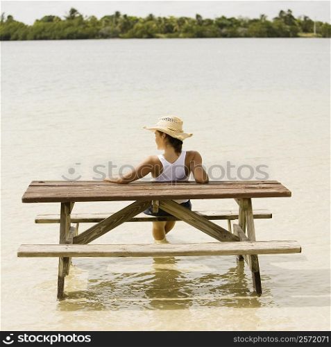 Rear view of a teenage girl sitting on a bench at a lakeside