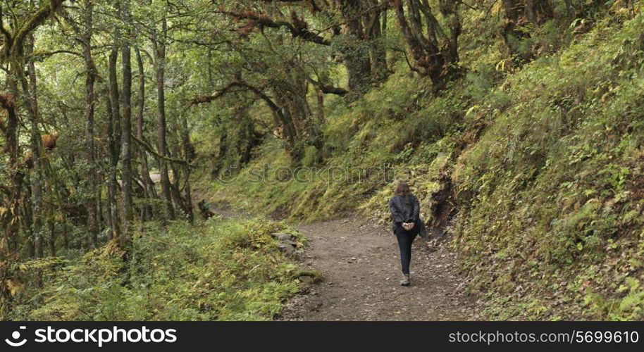 Rear view of a woman hiking at Tango Goemba, Thimphu, Bhutan