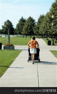 Rear view of a woman pushing a baby stroller, Gateway Park, Chicago, Illinois, USA