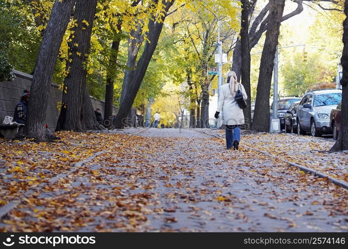 Rear view of a woman walking on the walkway, Central Park, Manhattan, New York City, New York State, USA