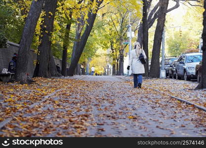 Rear view of a woman walking on the walkway, Central Park, Manhattan, New York City, New York State, USA