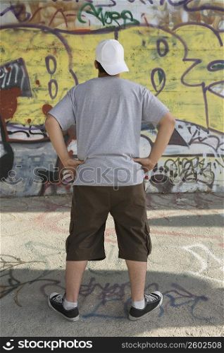 Rear view of a young man looking at a graffiti