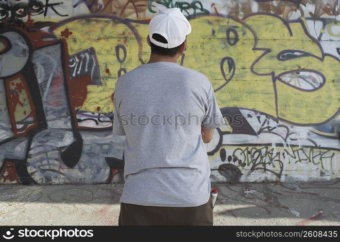 Rear view of a young man looking at a graffiti