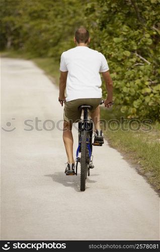 Rear view of a young man riding a bicycle