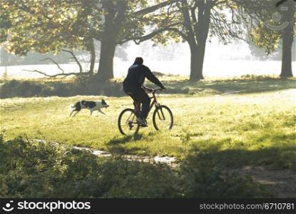 Rear view of a young man riding a bicycle in a park