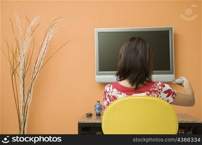 Rear view of a young woman watching TV