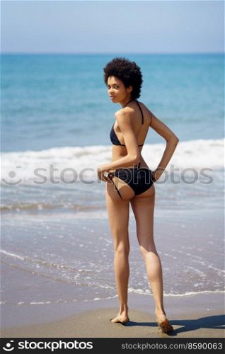 Rear view of black girl with slim body wearing bikini on a tropical beach. Black female with afro hairstyle wearing black bikini.. Rear view of black girl with slim body wearing bikini on a tropical beach.