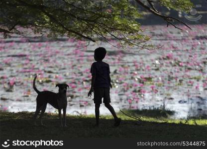 Rear view of boy standing on grass with dog, Krong Siem Reap, Siem Reap, Cambodia
