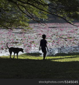 Rear view of boy standing on grass with dog, Krong Siem Reap, Siem Reap, Cambodia