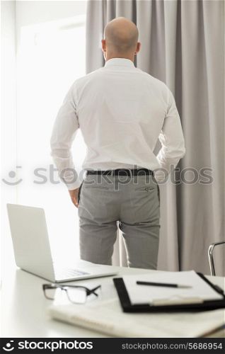 Rear view of businessman standing in home office