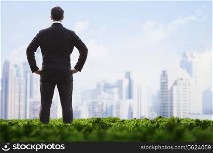 Rear view of businessman with hands on hips standing in a green field and looking at the city skyline