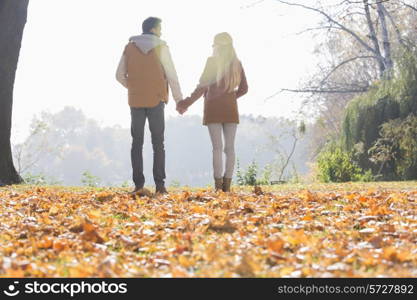 Rear view of couple holding hands in park during autumn