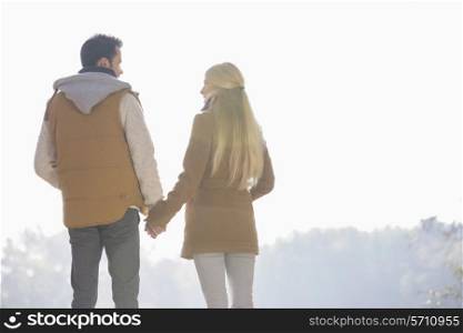 Rear view of couple holding hands while looking at each other in park