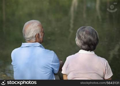 Rear view of couple sitting by the pond in park