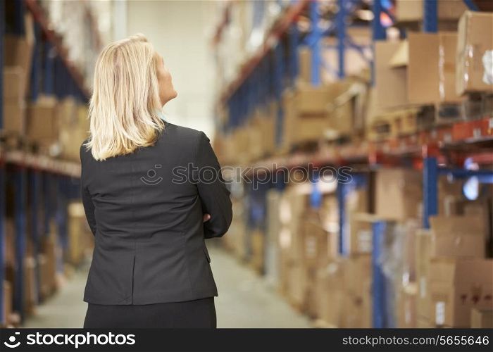 Rear View Of Female Manager In Warehouse