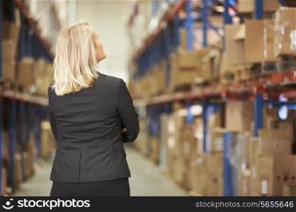 Rear View Of Female Manager In Warehouse