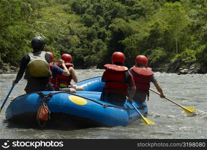 Rear view of five people rafting in a river