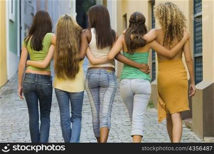 Rear view of five teenage girls walking with their arm around each other